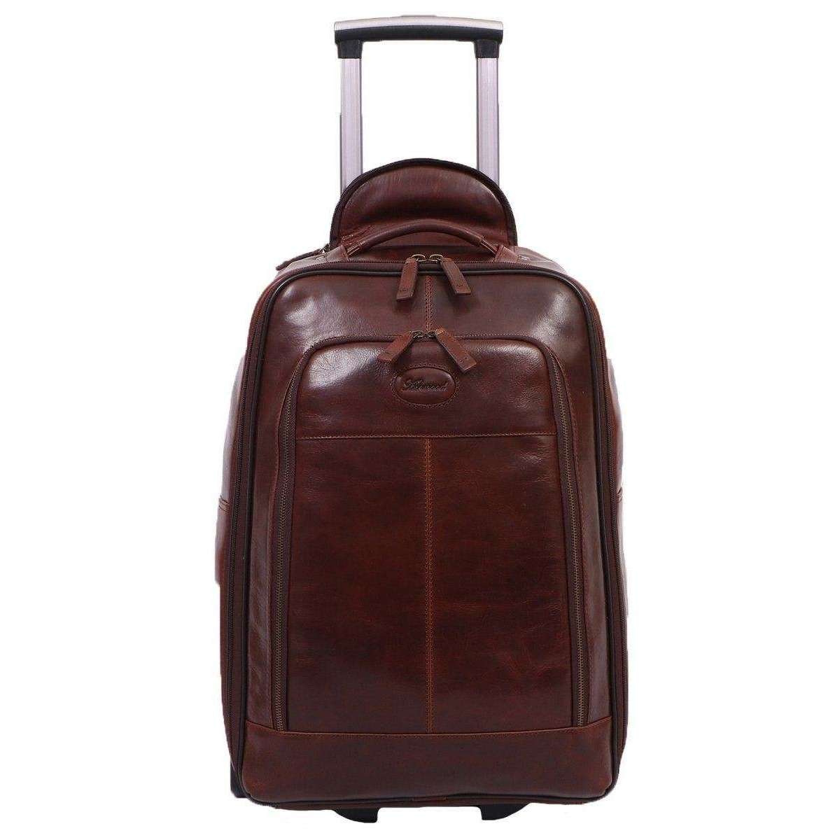 Leather on sale trolly bag