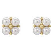 elements-gold-floral-freshwater-pearl-9ct-gold-earrings---goldwhite-35461463