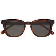 Botaniq Classic Distinct Shape Sunglasses - Brown Tort