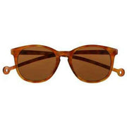Parafina Arroyo Sunglasses - Ginger Carey/Royal Caramel