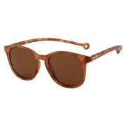 Parafina Arroyo Sunglasses - Ginger Carey/Royal Caramel