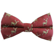 Sophos Stag Bow Tie - Wine