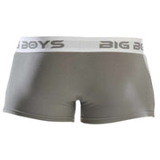 Big Boys Low Rise Briefs - Steel Grey