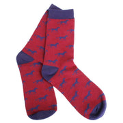 David Van Hagen Horse Socks - Red/Blue